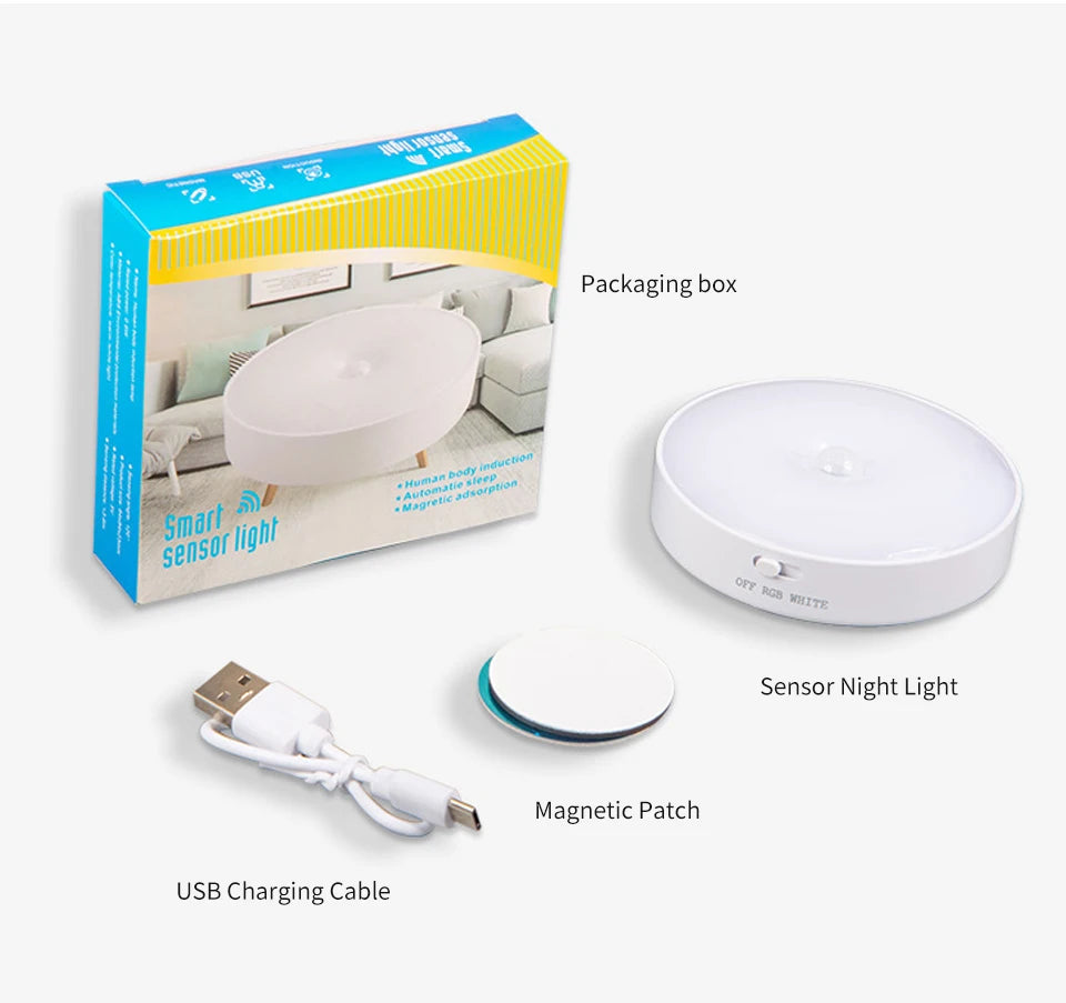 Rechargeable LED Motion Sensor Light – Ghost Hunting & Paranormal Investigation Tool