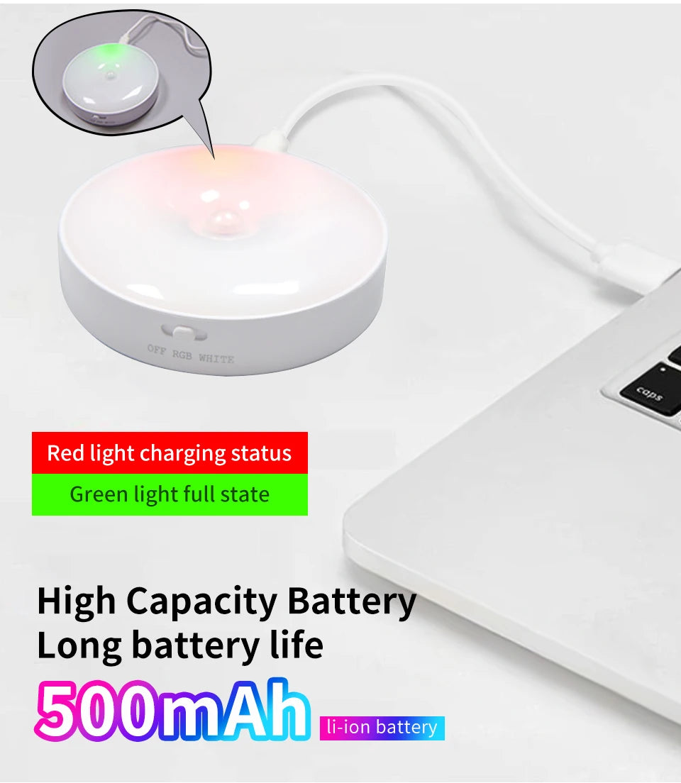 Rechargeable LED Motion Sensor Light – Ghost Hunting & Paranormal Investigation Tool