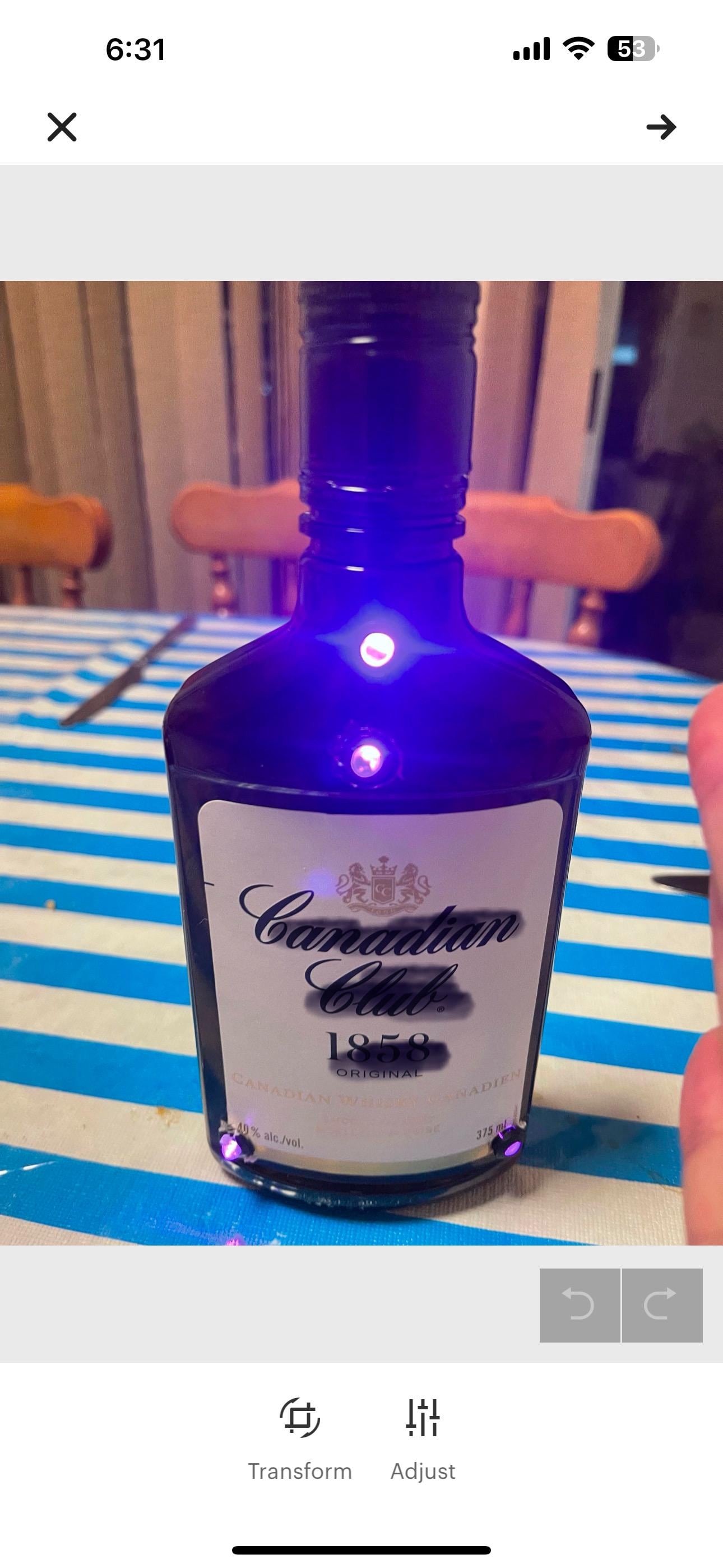Haunted Liquor Bottle Trigger Object – Paranormal Motion Sensor for Ghost Hunting equipment gear and paranormal investigation equipment