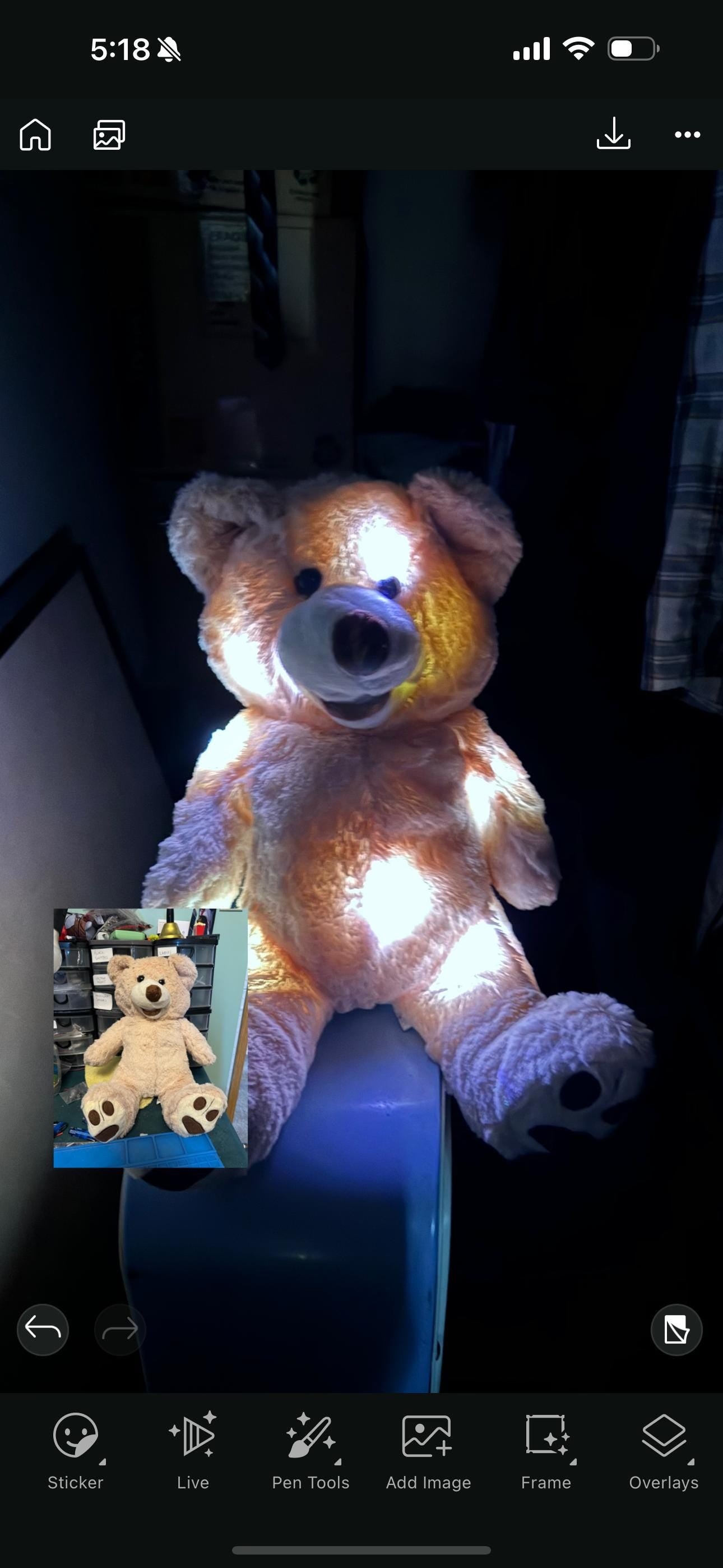 Trigger object, 28cm bear for ghost hunters, ghost hunting equipment, paranormal investigation equipment