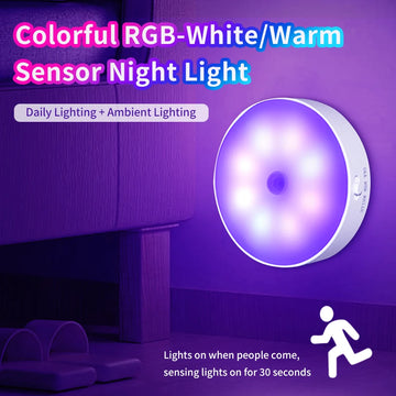 Rechargeable LED Motion Sensor Light – Ghost Hunting & Paranormal Investigation Tool