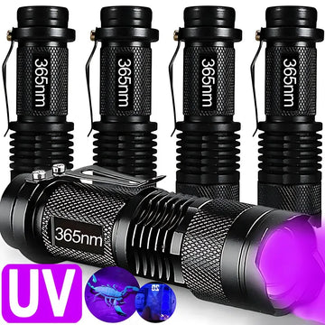 Zoomable UV Flashlight – 365/395nm Ultraviolet Torch for Ghost Hunting & Paranormal Investigations