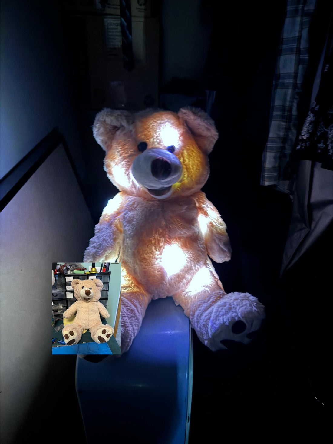 Trigger object, 28cm bear for ghost hunters, ghost hunting equipment, paranormal investigation equipment