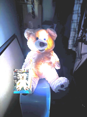 Trigger object, 28cm bear for ghost hunters, ghost hunting equipment, paranormal investigation equipment